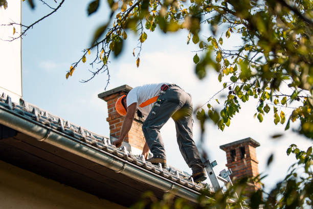 Best Roof Gutter Cleaning  in Freeland, PA
