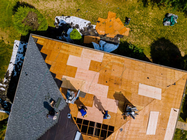 Best Commercial Roofing Services  in Freeland, PA
