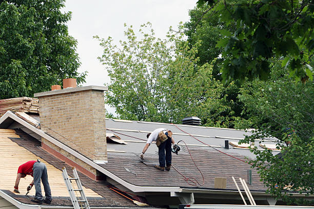 Quick and Trustworthy Emergency Roof Repair Services in Freeland, PA