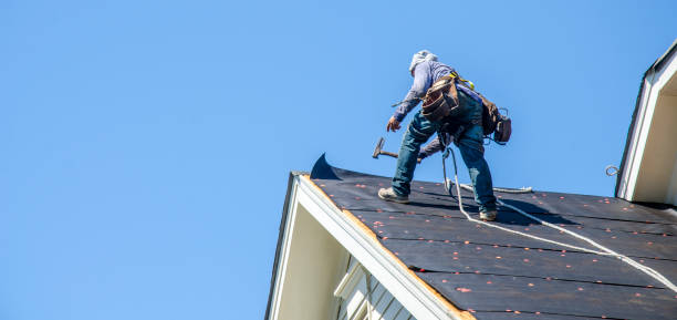 Best Roof Maintenance Services  in Freeland, PA